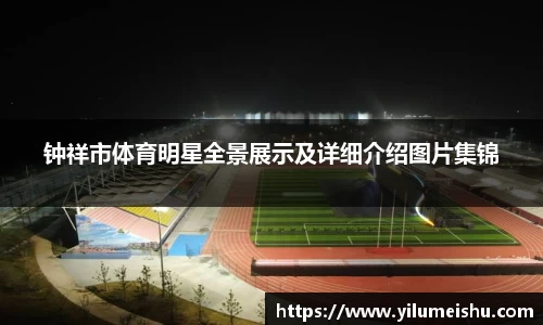 钟祥市体育明星全景展示及详细介绍图片集锦