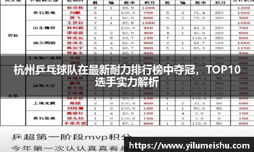 必一bsports体育