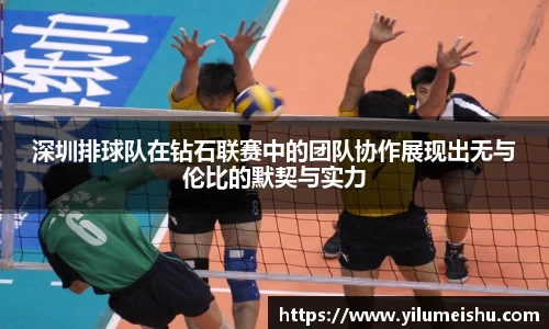 bsports必一体育