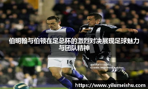 必一bsports体育