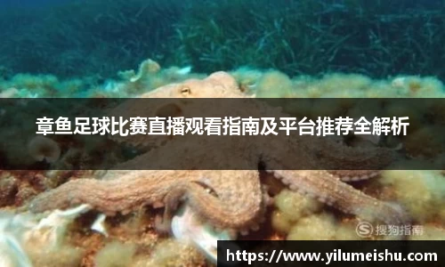 必一bsports体育